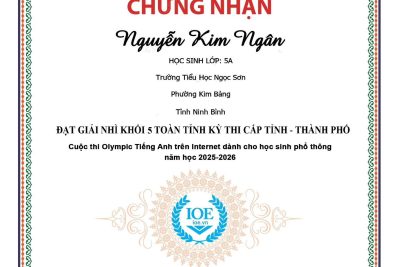 Kết quả cuộc thi Olympic Tiếng Anh trên Internet (IOE) cấp tỉnh của học sinh trường Tiểu học Ngọc Sơn